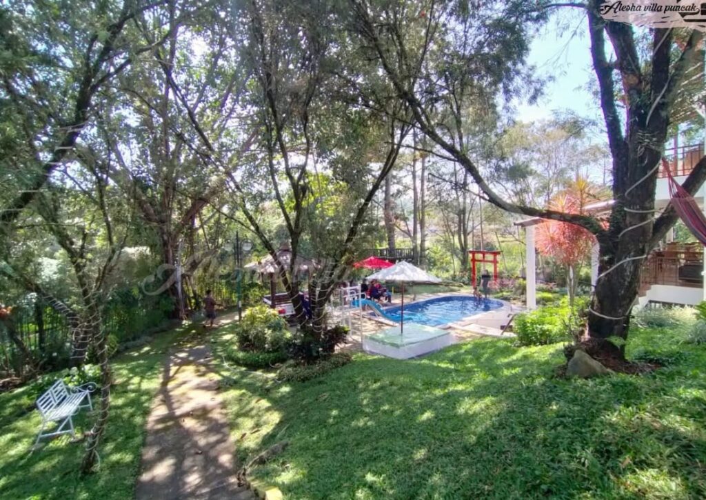 Villa malini 1